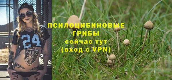 бутират Горнозаводск
