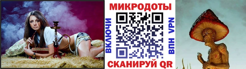 купить наркотик  Зеленогорск  Псилоцибиновые грибы GOLDEN TEACHER 